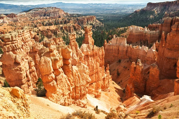 Bryce Canyon Hoodoos — Stock Photo, Image