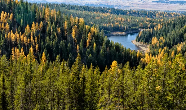 Kolory jesieni nad jeziorem — Zdjęcie stockowe