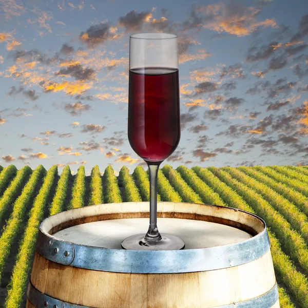 Glass of red wine on wood barrel with vineyard scene in the background — Stock Photo, Image