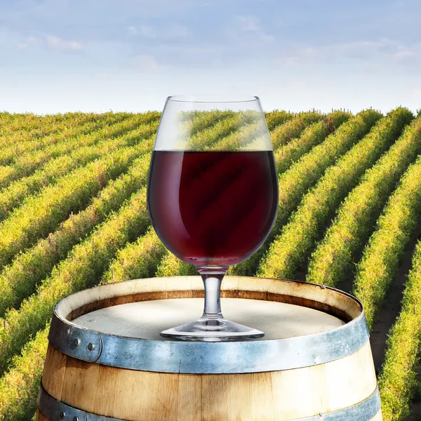 Glass of red wine on wood barrel with vineyard scene in the background — Stock Photo, Image