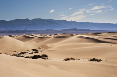 çöl kumulları ile dağ içinde belgili tanımlık geçmiş