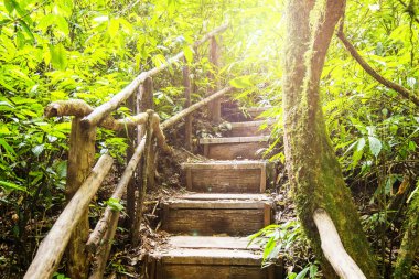 Tahta yol yürüme yolu