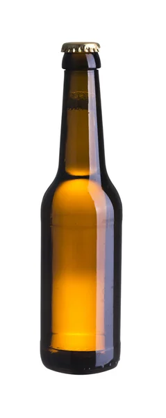 Холодна пляшка легкого пива — стокове фото