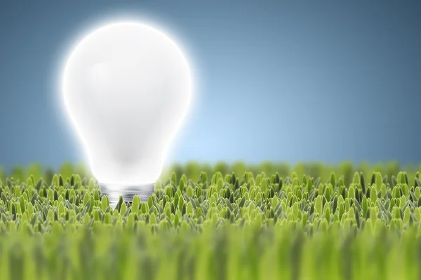 Light bulb on green grass — Stock Photo, Image