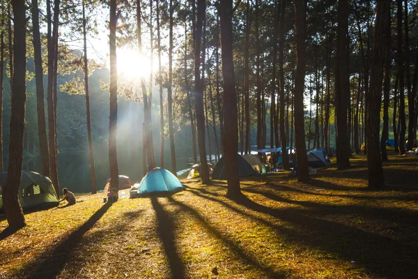 Illuminated blue Camping tent — Stock Photo, Image