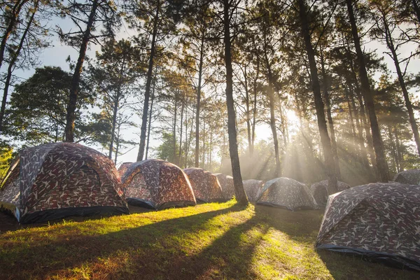Camping tent with fog and sun ray — Stock Photo, Image