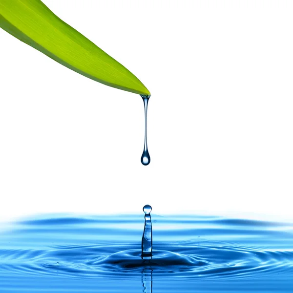 Gota de água da folha verde — Fotografia de Stock