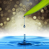 Картина, постер, плакат, фотообои "water drop from green leaf", артикул 30170575