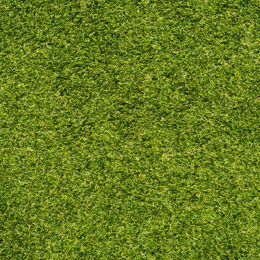 taze yeşil çim dokusu