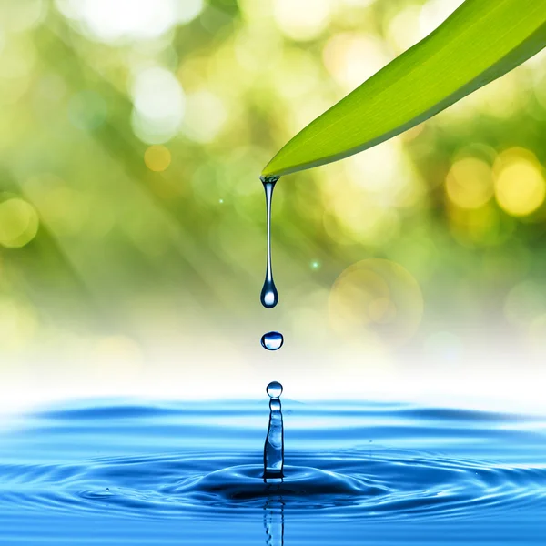 Water drop from green leaf — Stock Photo, Image