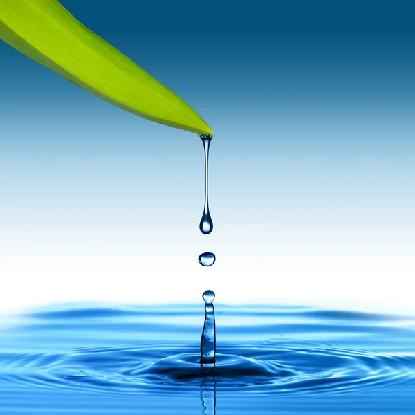 Water drop from green leaf — Stock Photo, Image