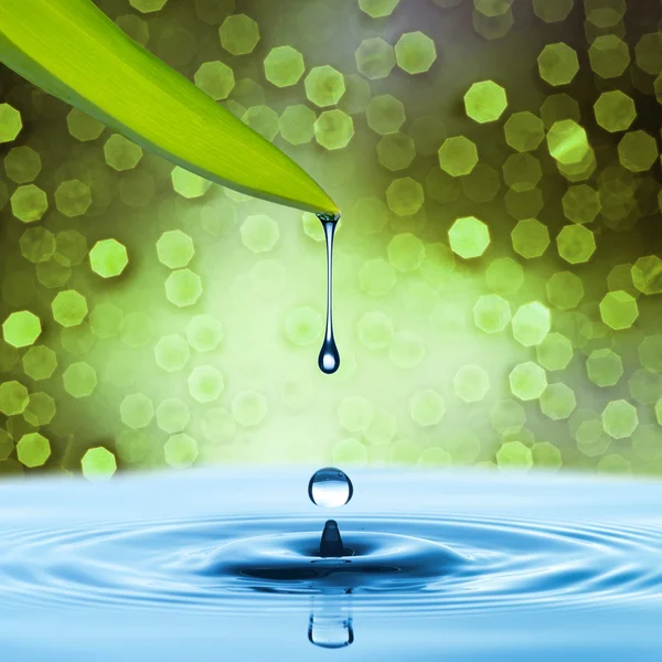 Капля воды от зеленого листа к голубой воде — стоковое фото