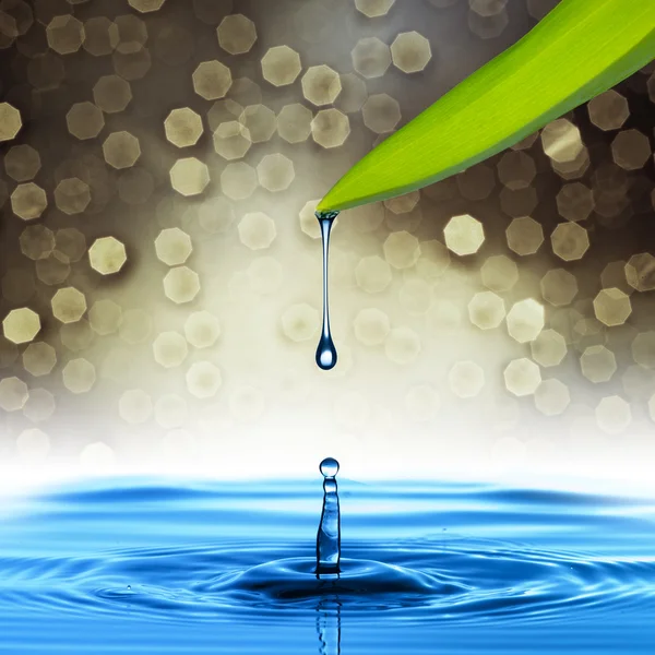 Water drop from green leaf — Stock Photo, Image