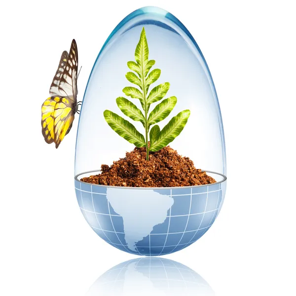 Globe with dirt and green leaf inside and glass cover with butterfly — Stock Photo, Image