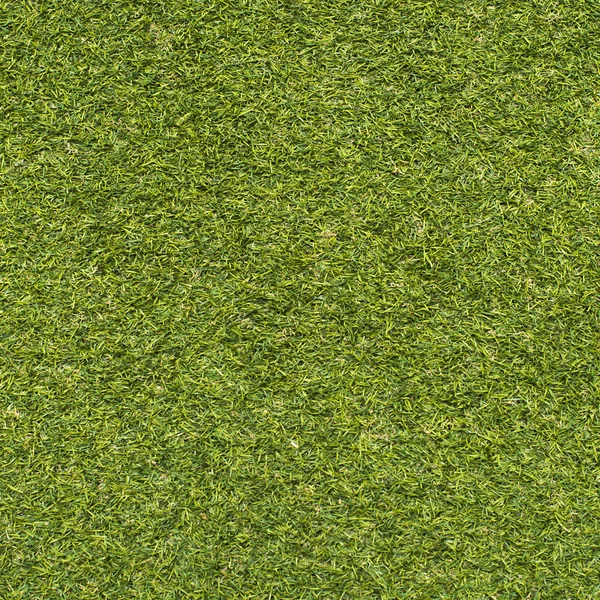 Fresh Grass texture — Stock Photo, Image