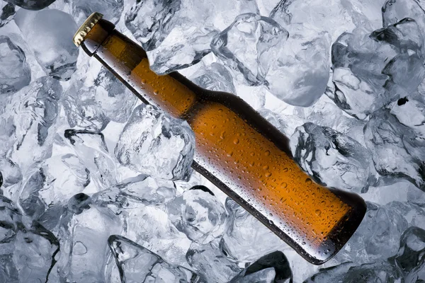 Beer bottle on ice cube — Stock Photo, Image