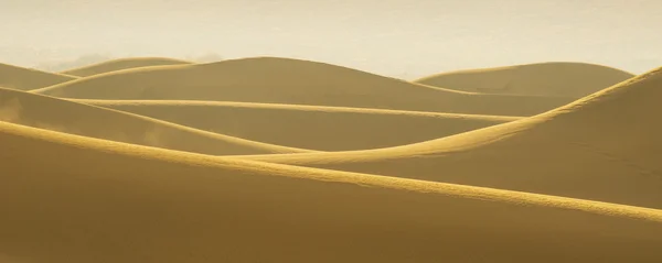 Dunes de sable du désert — Photo