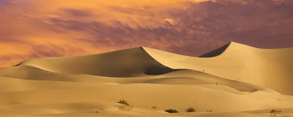 Deserto arenoso ao pôr-do-sol — Fotografia de Stock