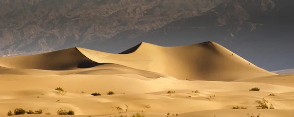 Woestijn zand duinen — Stockfoto
