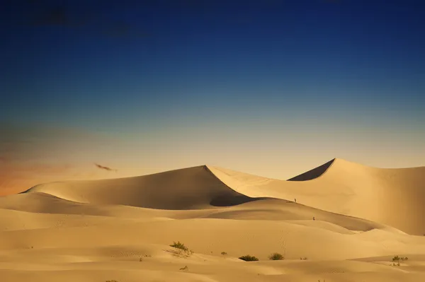 Dunas de arena del desierto — Foto de Stock