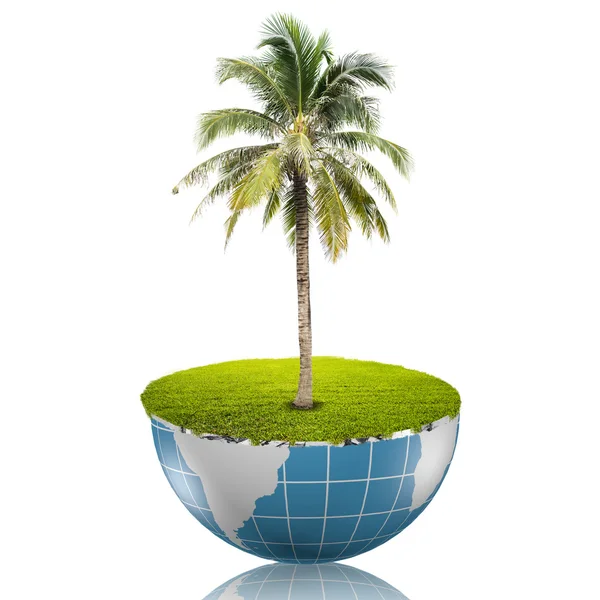 Coconut tree growing on the blue globe — Stock Photo, Image