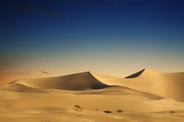 Dunas de arena del desierto Fotos de stock
