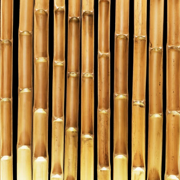 Bamboo fence — Stock Photo, Image