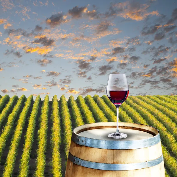 Glass of red wine on wood barrel — Stock Photo, Image