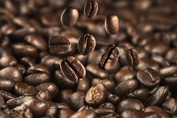 Falling Coffee bean — Stock Photo, Image