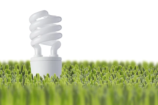 Light bulb on green grass — Stock Photo, Image