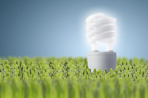 Light bulb on green grass — Stock Photo, Image