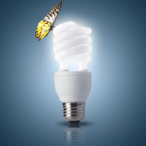 Butterfly on Fluorescent light bulb — Stock Photo, Image