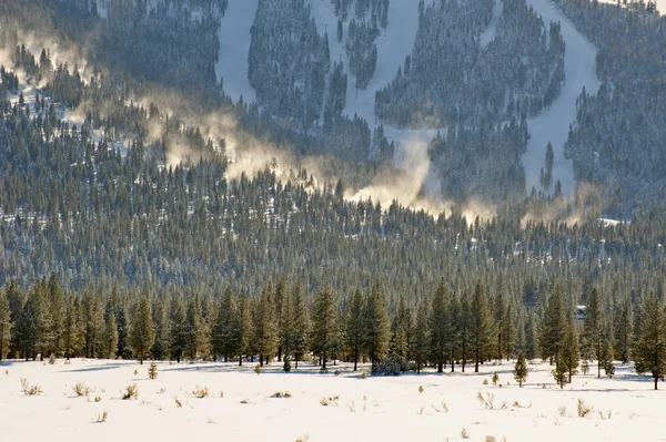 Lago Tahoe — Foto de Stock