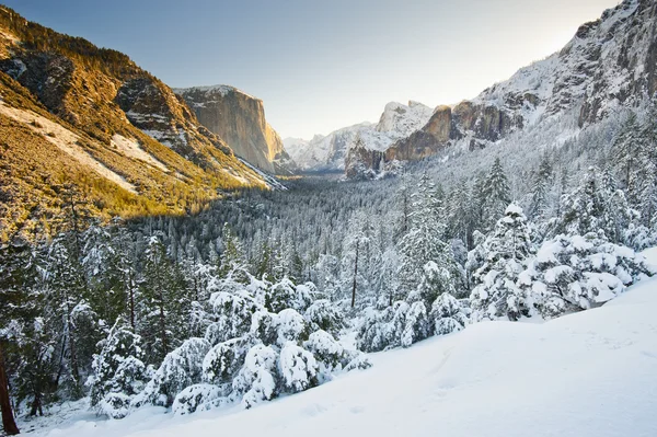 Nationaal park Yosemite — Stockfoto