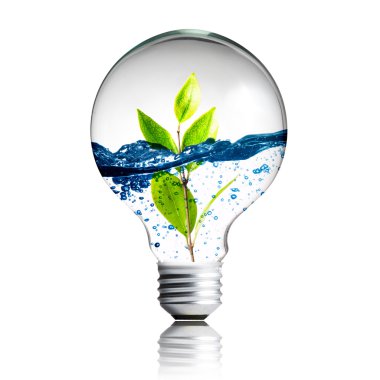 Yeşil enerji kavramı