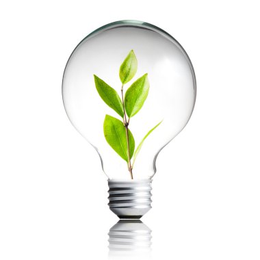 yeşil eko enerji kavramı