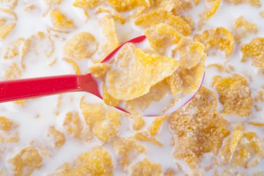 Kırmızı kaşık Mısır gevreği süt ile yapılan dip