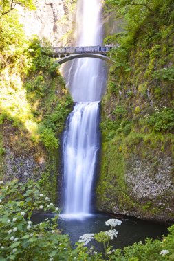 Waterfall in Oregon clipart