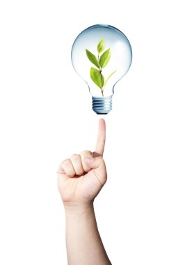 ampul yeşil bitki ile işaret eden el