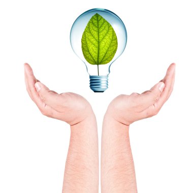 yandan ampul içinde büyüyen bitki