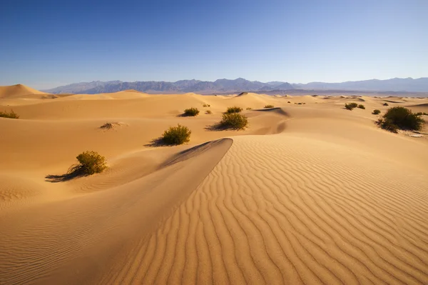 Deserto de Dunas de Areia — Fotografia de Stock