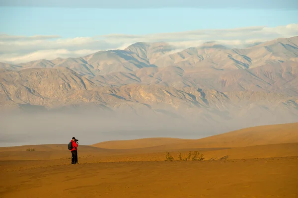 Desert — Stock Photo, Image