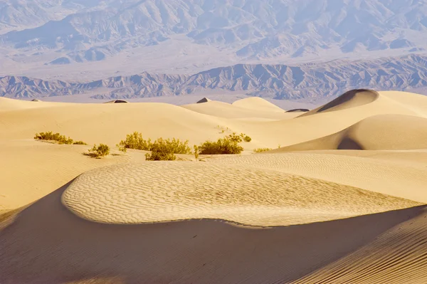 Death Valley Zandduinen — Stockfoto