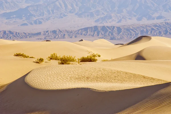 Death valley písečné duny — Stock fotografie