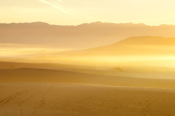 Dunas de arena del desierto con montaña —  Fotos de Stock