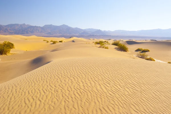 Dunas de arena —  Fotos de Stock