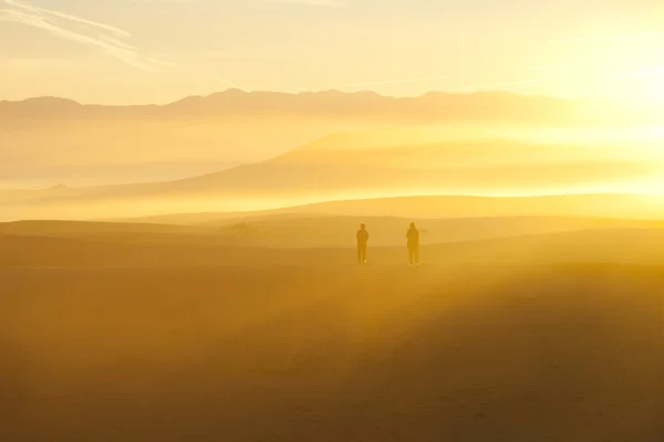 Aavikko maisema auringonnousun aikaan — kuvapankkivalokuva