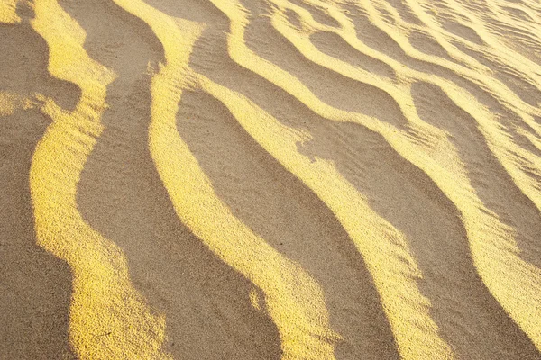Desert Sand Texture — Stock Photo, Image