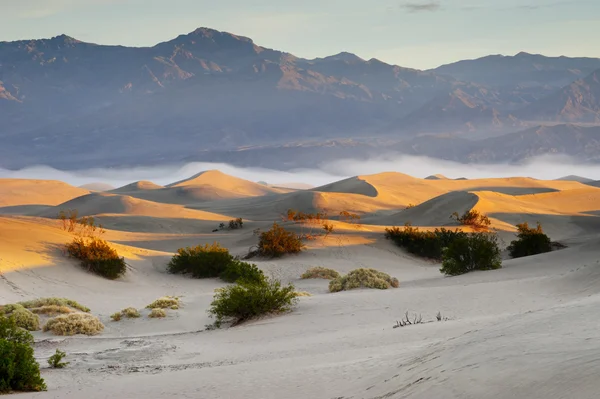 Paisagem do deserto — Fotografia de Stock