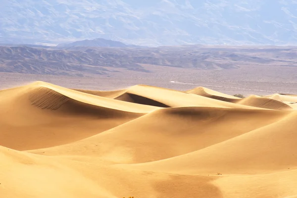 Sanddünen Wüste — Stockfoto